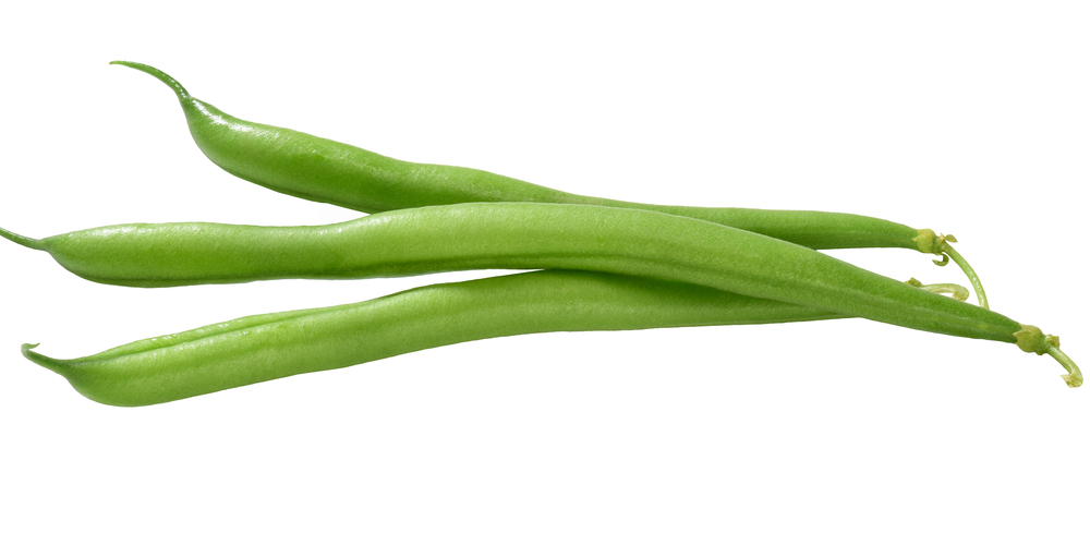 when to plant green beans in iowa