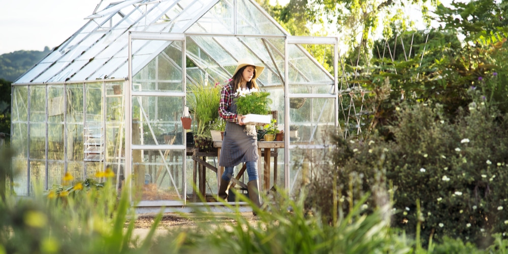 Greenhouse VS Shade House