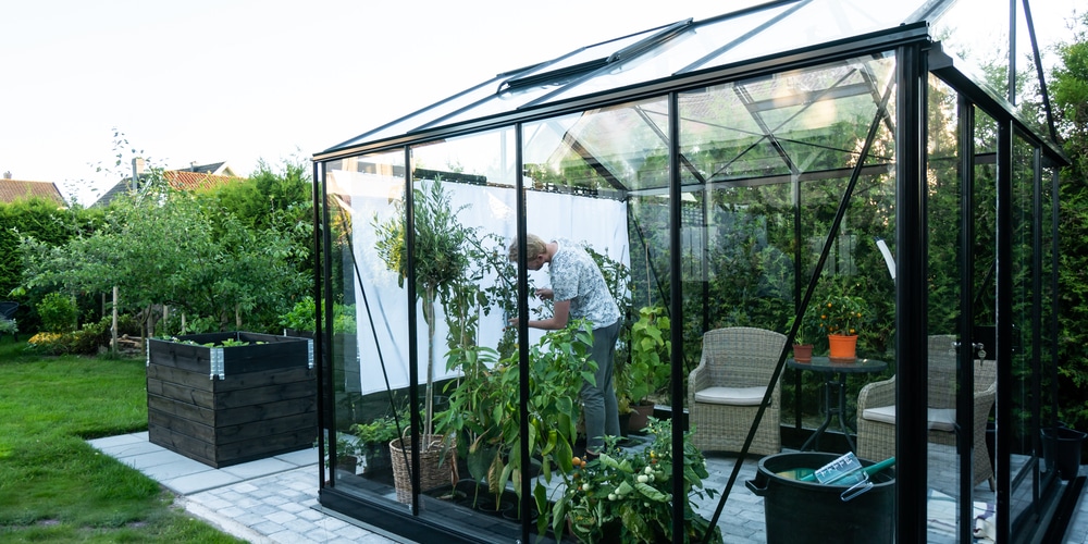 will a covered porch protect plants from frost