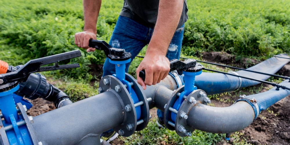 How much should an irrigation system cost?