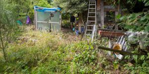 Prepare Overgrown Garden