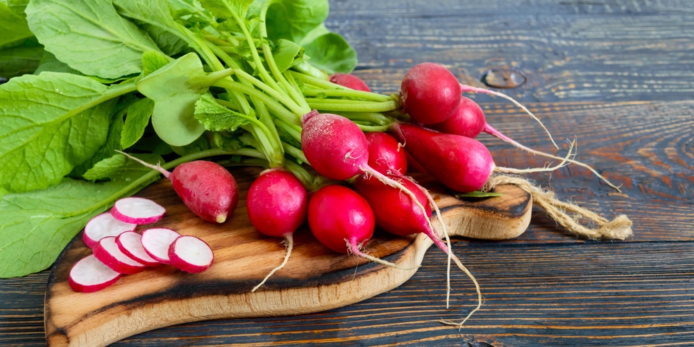 can radishes survive frost