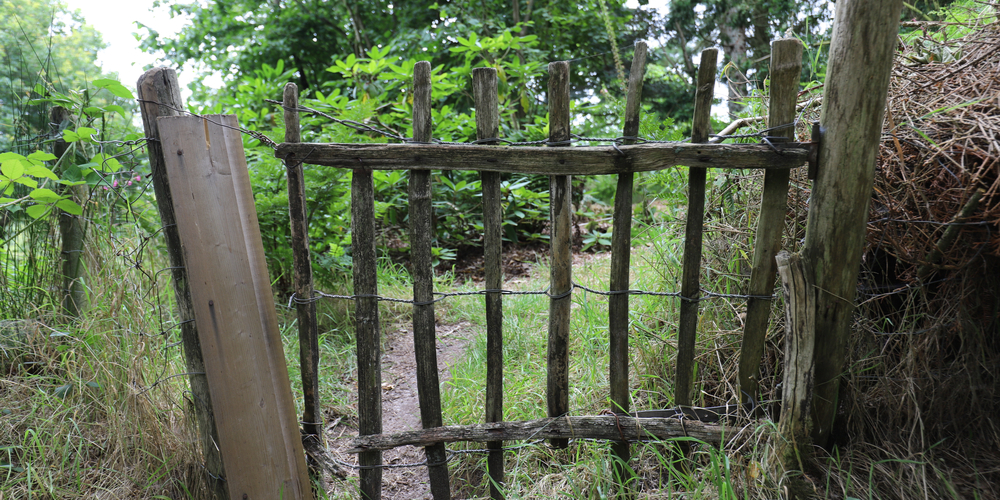 fence gate ideas