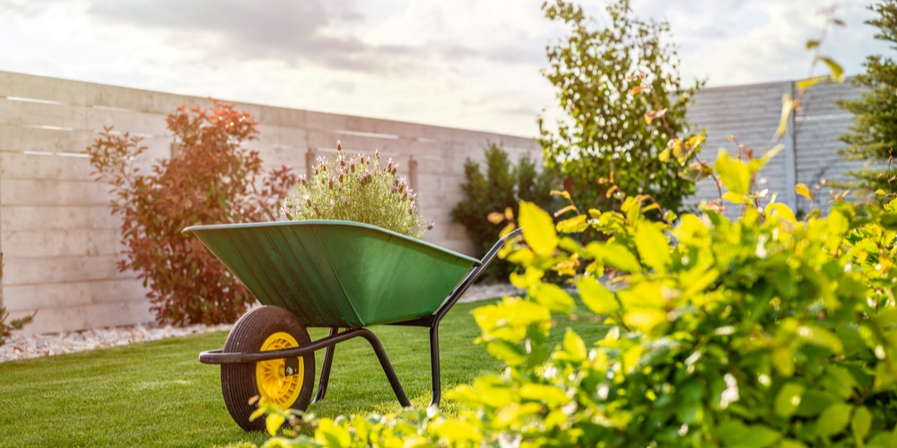 Two wheeled wheelbarrow vs one wheeled wheelbarrow