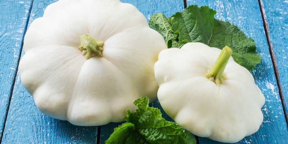 white squash varieties