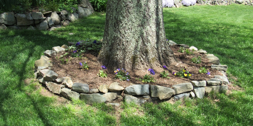 Landscaping Around Trees with Rocks
