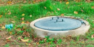 Septic Tank Killing Grass