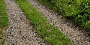 How to Fix A Gravel Driveway Overgrown With Grass