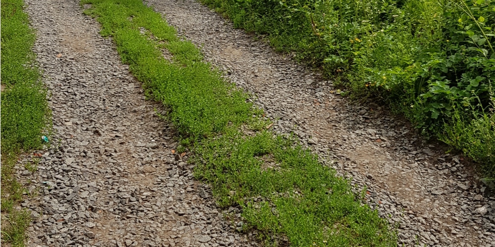 How to Fix A Gravel Driveway Overgrown With Grass