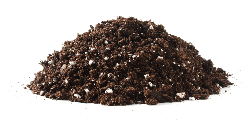 is peat moss good for tomatoes