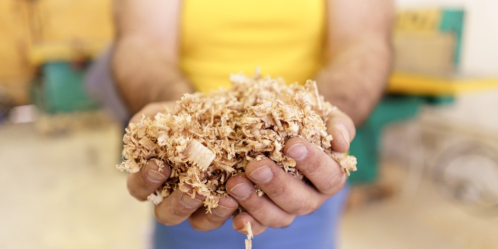 What To Do With Sawdust From Stump Grinding
