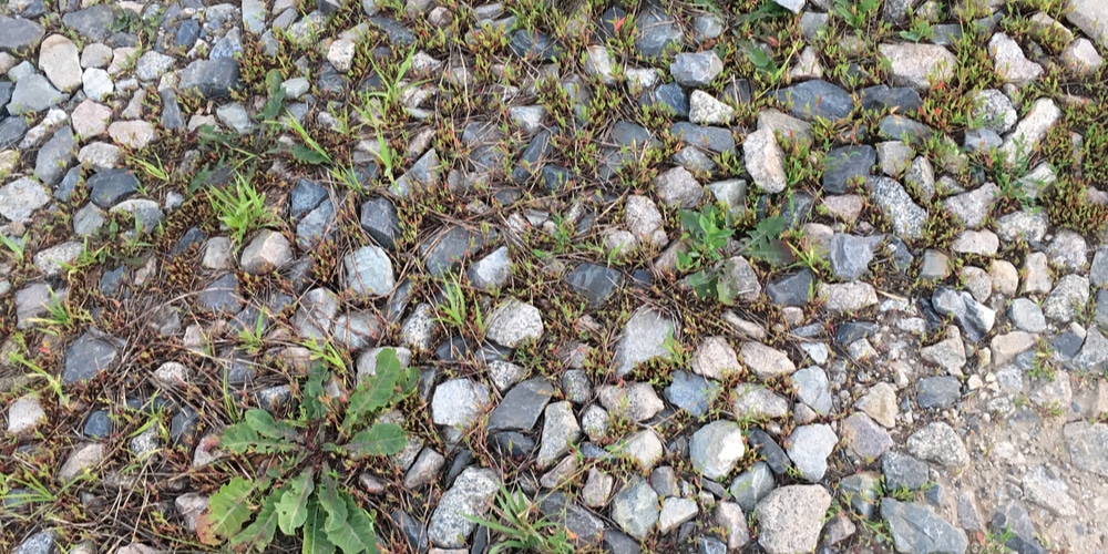 How to Fix A Gravel Driveway Overgrown With Grass