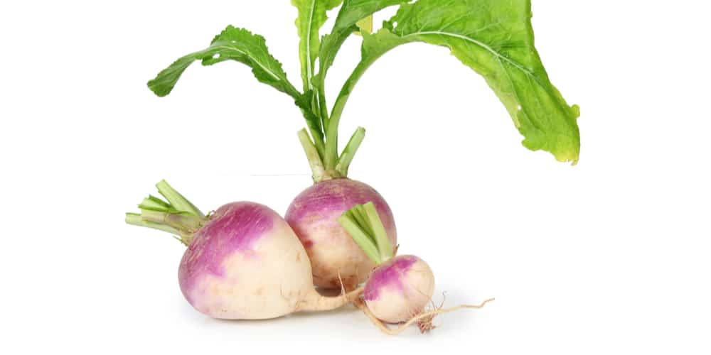 can turnips survive frost