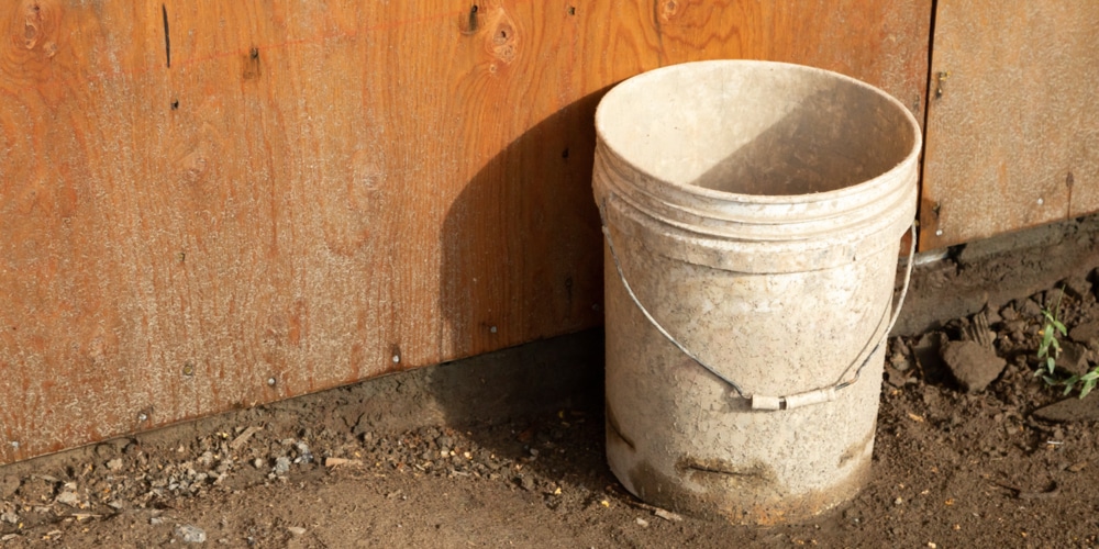 squash in 5 gallon buckets