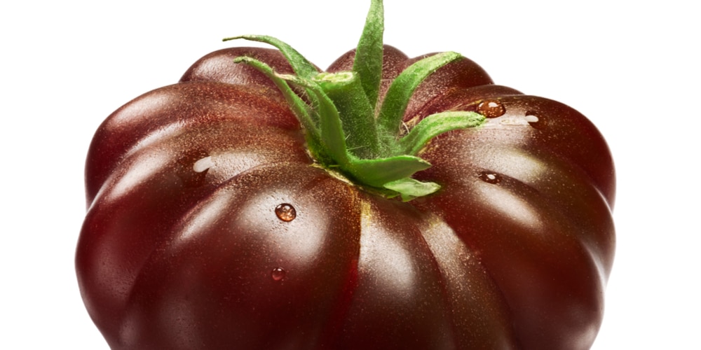 Black Krim vs Cherokee Purple Tomatoes