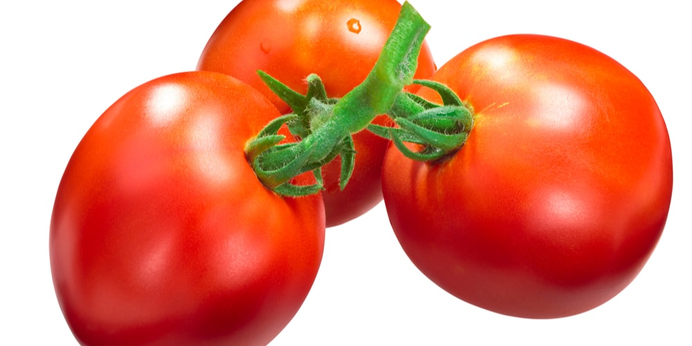 Marglobe tomato