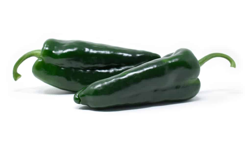 When to Pick Poblano Peppers