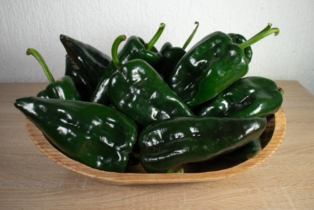 When to Pick Poblano Peppers: A Guide to Harvesting -