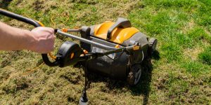 Scarifier vs. Aerator