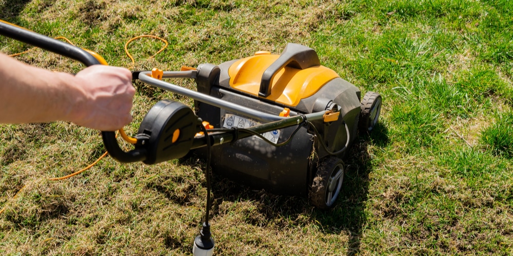 Scarified lawn looks terrible