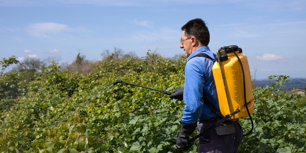 does brush killer kill grass