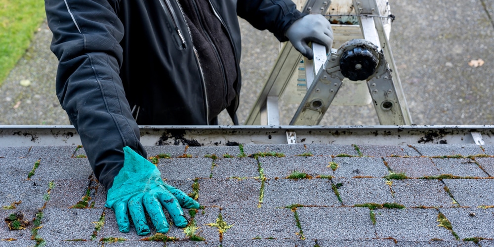 Best Time Of Year To Remove Moss From Roof