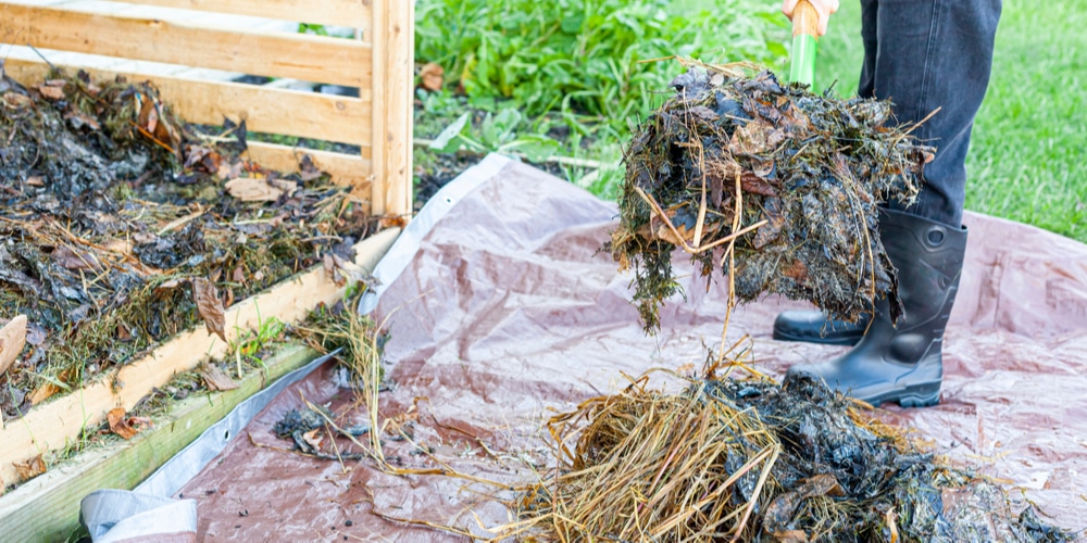 Should I cover my compost pile