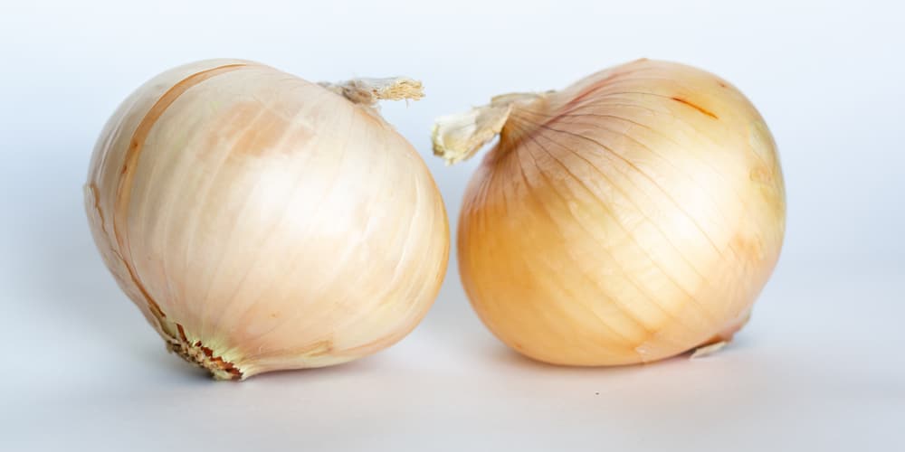 when to plant walla walla onions