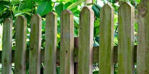 How to Clean a Wood Fence Without Pressure Washing