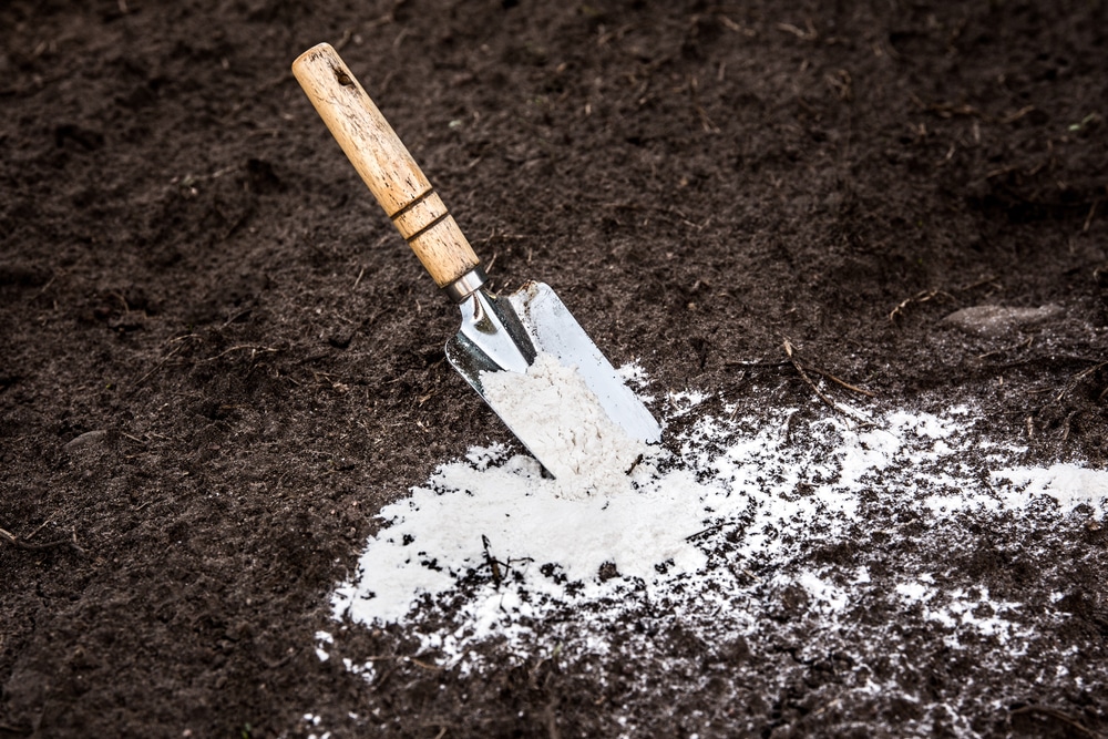 Fast Acting Lime Vs. Pelletized Lime