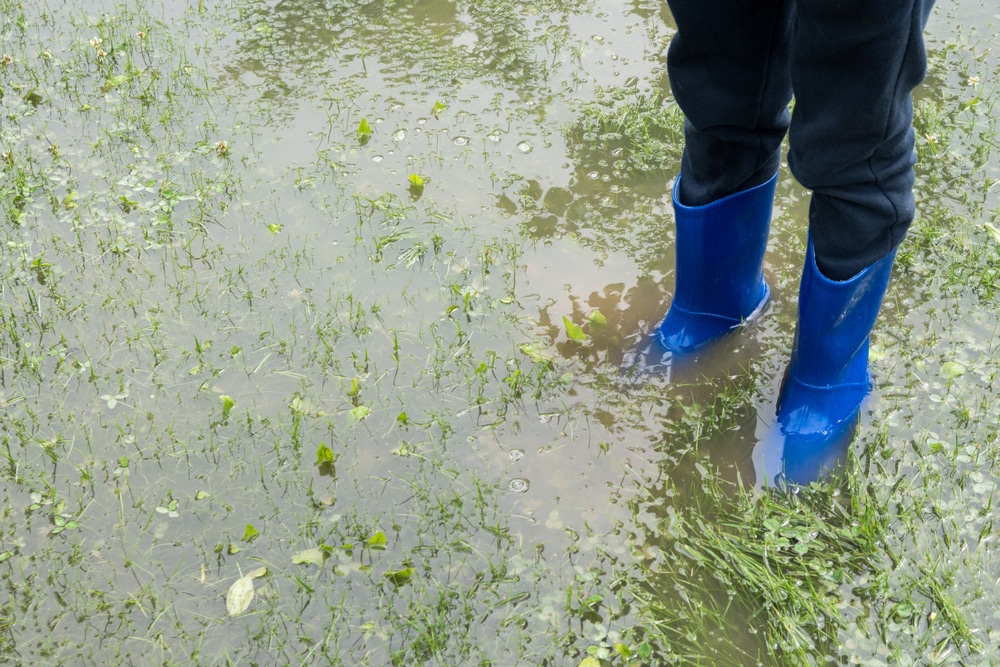 air conditioner drain line flooding yard