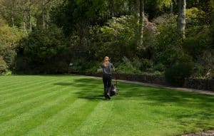 how to double stripe your lawn