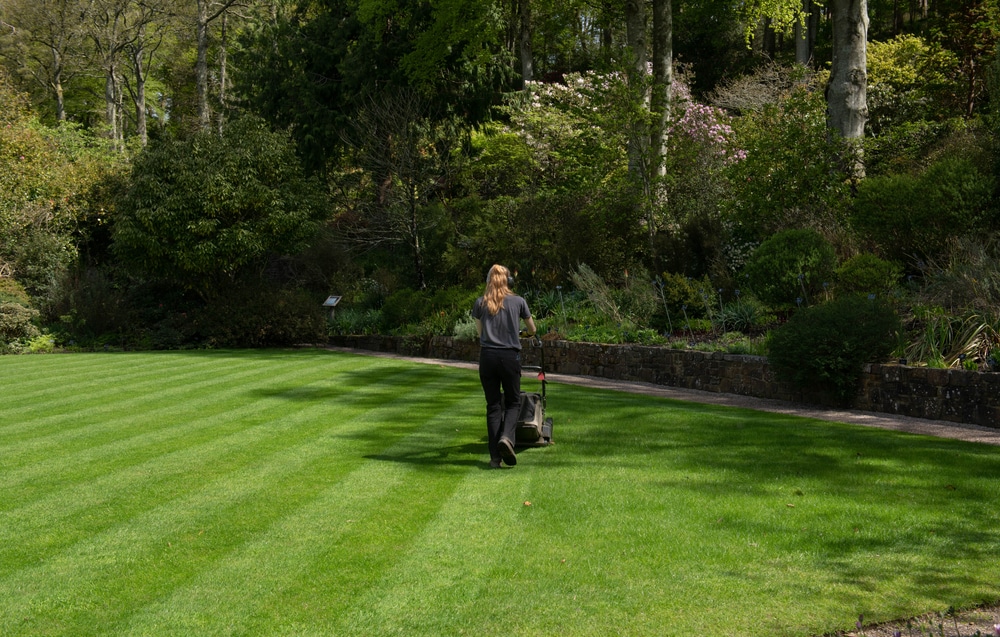 How to Double Stripe Your Lawn? 
