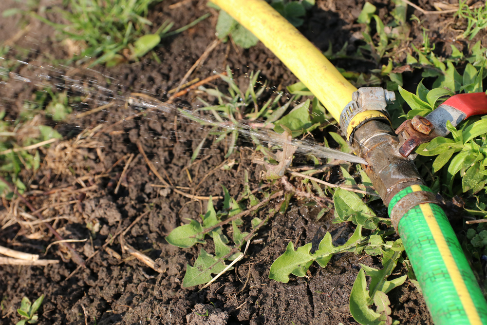 how to remove corrosion from garden hose