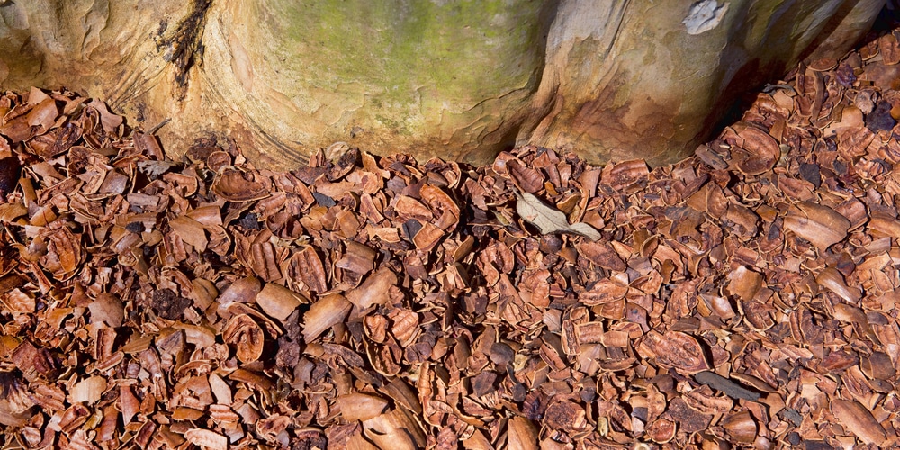 pecan shell mulch pros and cons