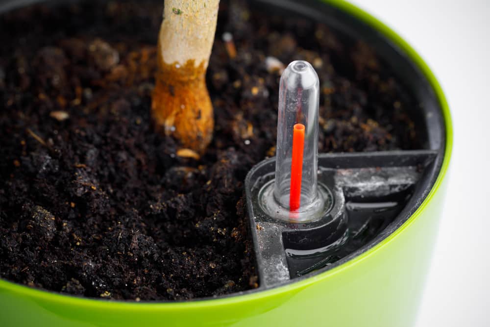 do self watering planters cause root rot