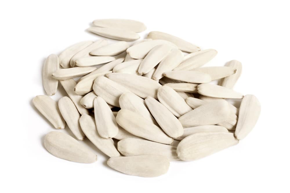 sunflower seeds white