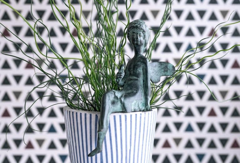 Plants That Look Like Hair 5 Outrageous Varieties GFL Outdoors