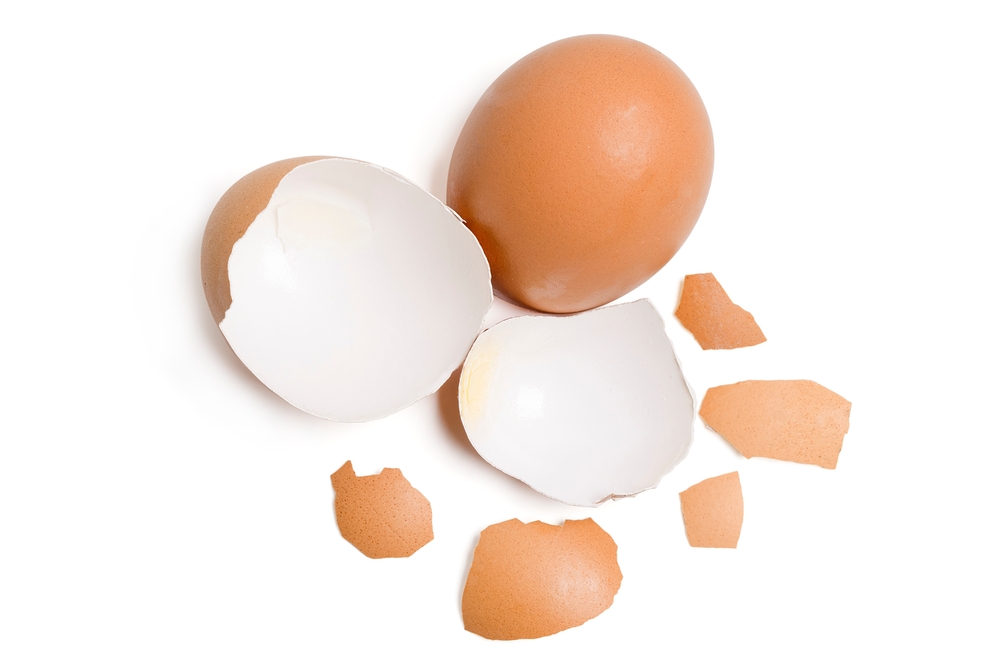 Egg Shell Fertilizer