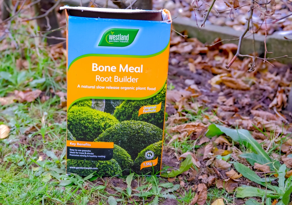 How Much Bone Meal To Add to Soil