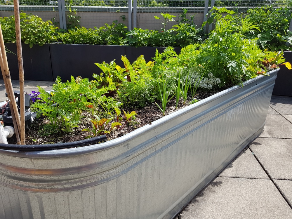 Metal Raised Garden Beds