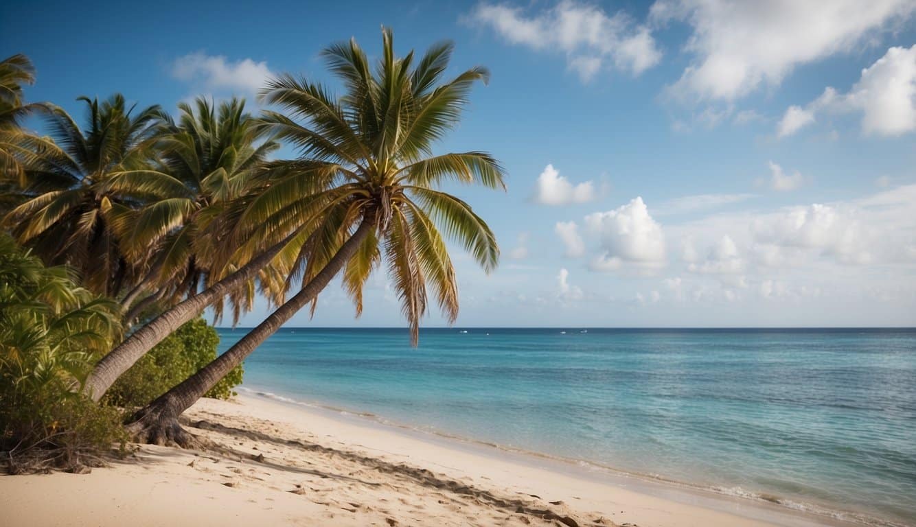 A coconut tree stands tall next to a slender palm tree on a sandy beach, with the blue ocean in the background