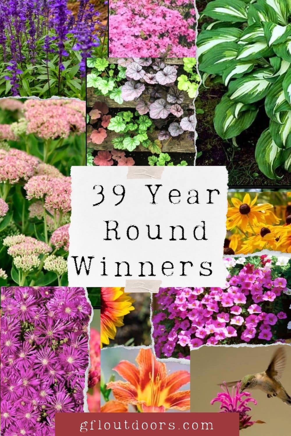 39 of the Best Plants for a Year-Round Thriving Garden – GFL Outdoors