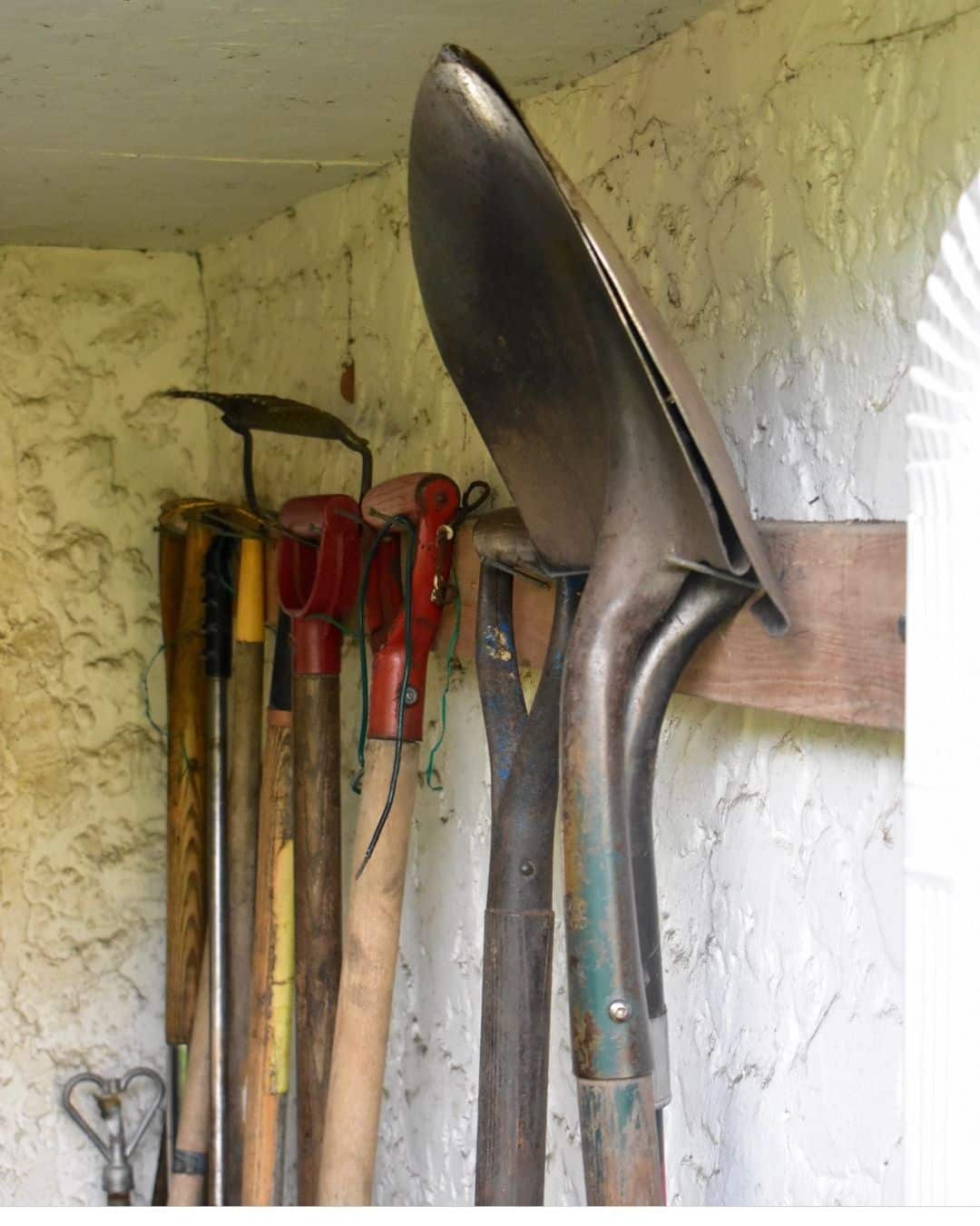Essential gardening tools in a Florida garden