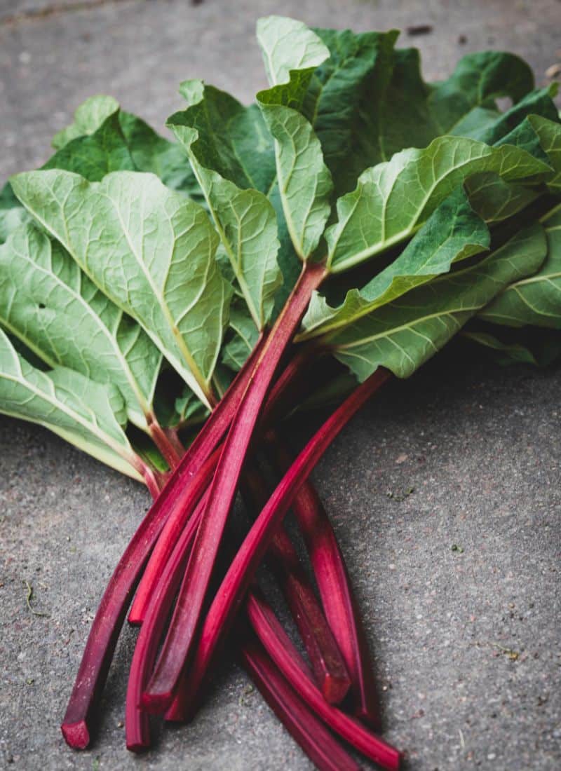 Rhubarb (Rheum rhabarbarum)
