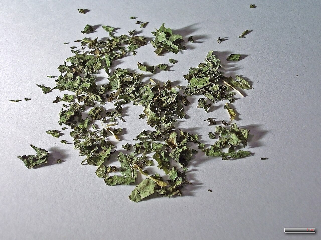 Dried pieces of lemon balm leaves scattered across a light-colored surface