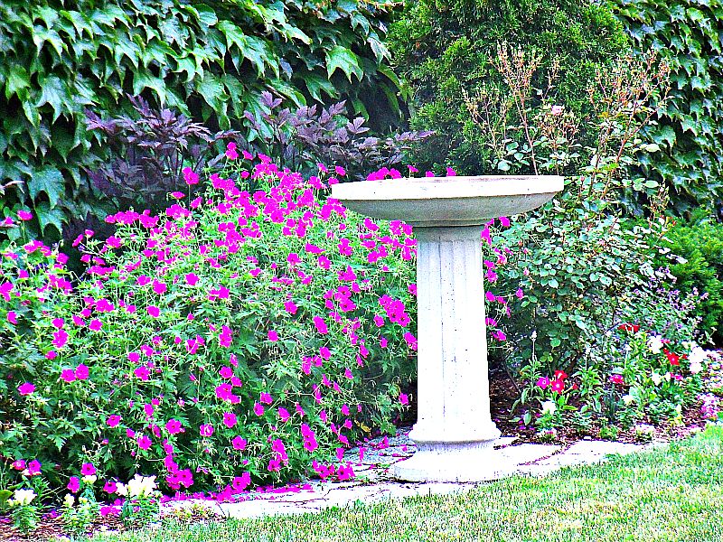 A white pedestal birdbath surrounded by flowers and leafy garden plants