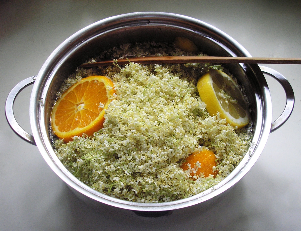 Elderflowers, lemon, and orange slices soaking in a stainless-steel pot during syrup preparation