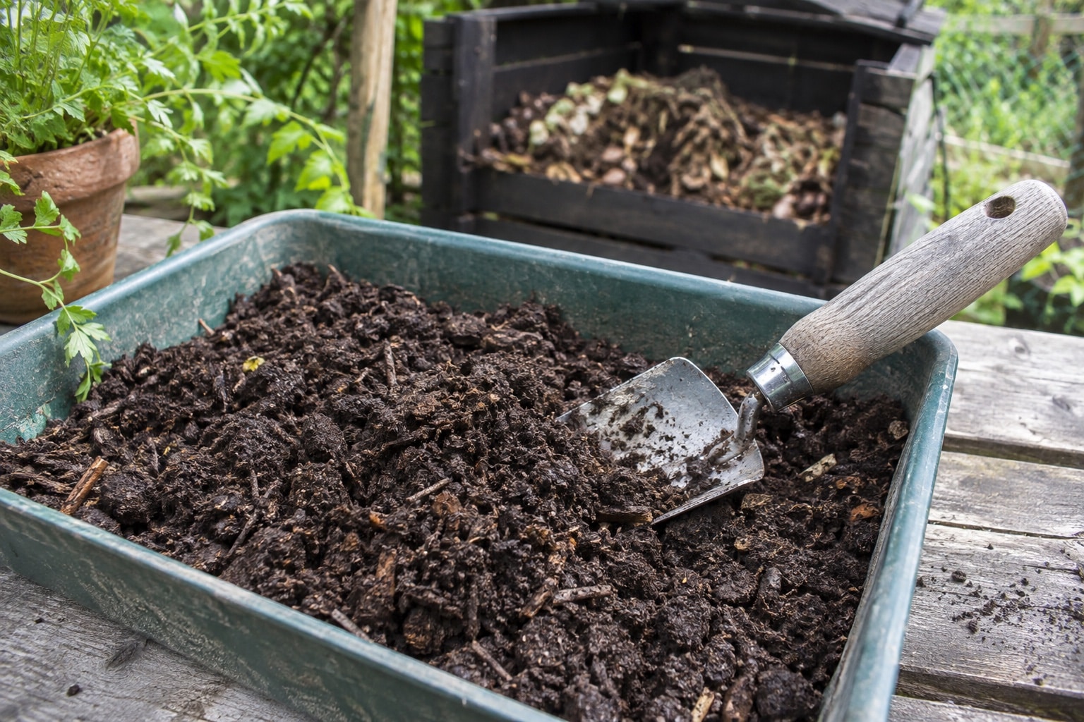 A trowel resting in dark crumbly compost in a garden tray (AI-generated illustration).