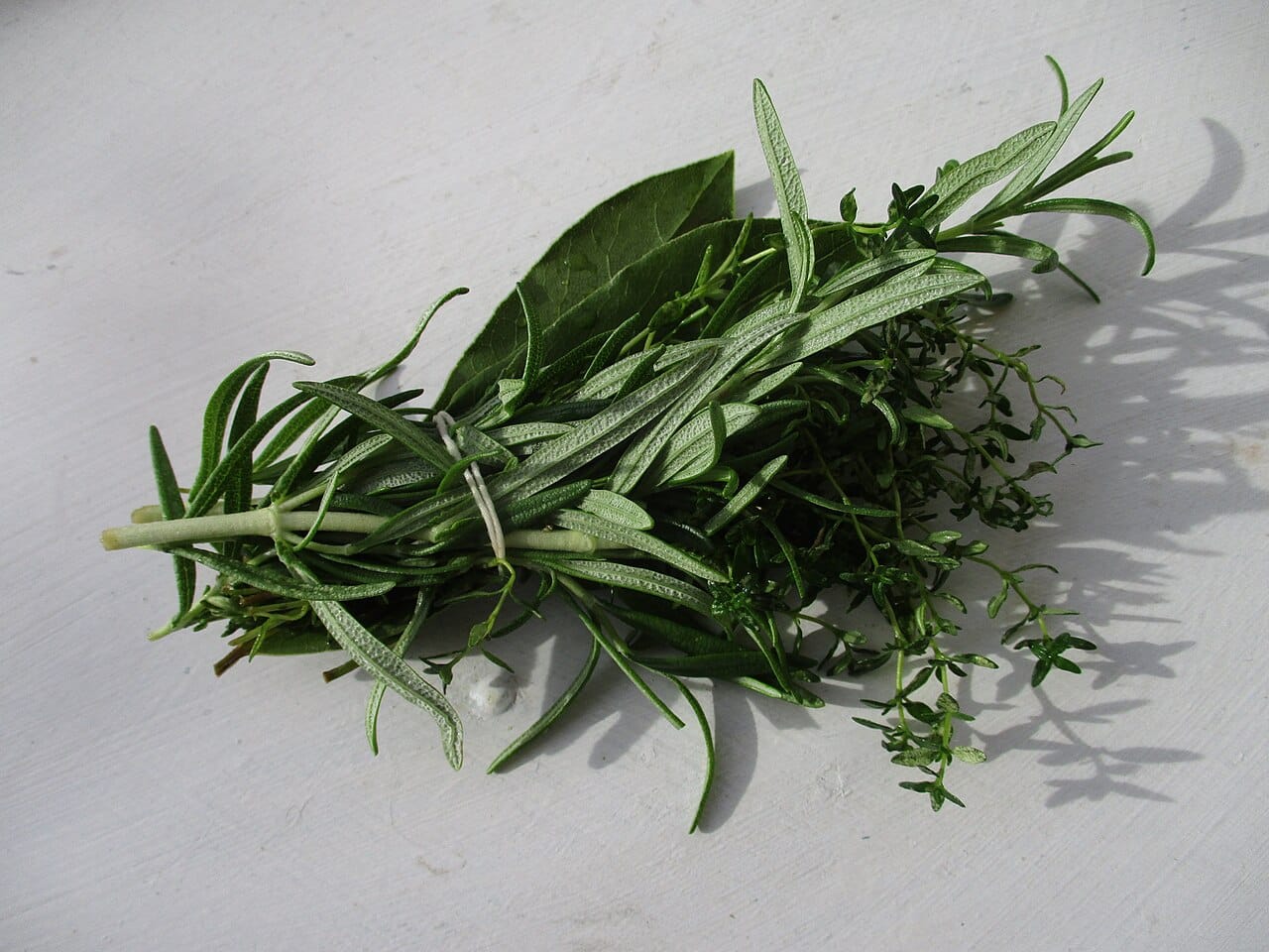 A tied cooking bundle of fresh herbs, including rosemary, on a pale surface